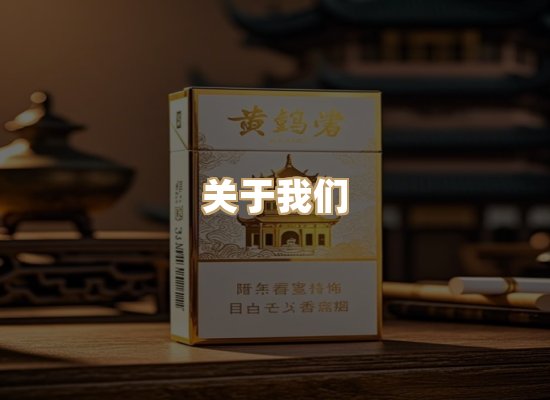 关于云歌烟网